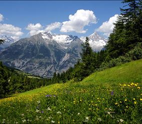 Швейцария: отдых по-европейски