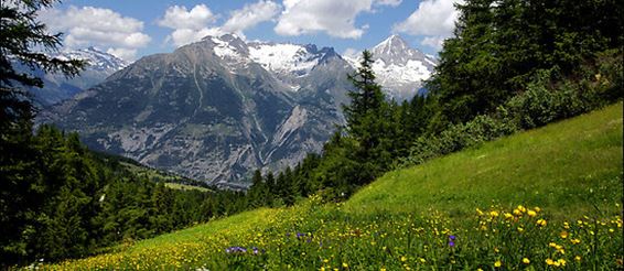 Швейцария: отдых по-европейски