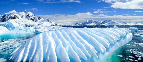 Антарктида и Арктика