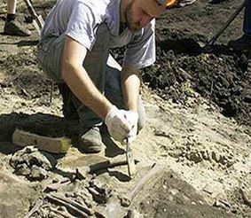 В Шотландии археологи обнаружили скелет короля викингов
