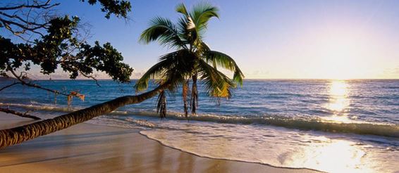 Природная сторона Сейшельских островов