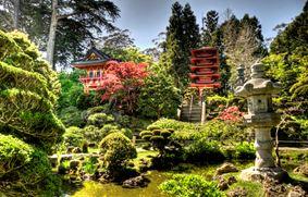 Чайные сады Японии: больше чем просто гармония