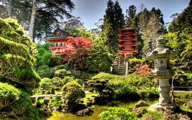 Чайные сады Японии: больше чем просто гармония