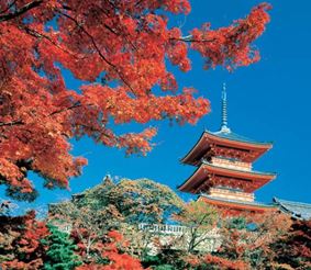 Лето в Японии: яркие фестивали, праздники и выставки