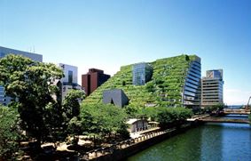 Современная Япония: здание префектуры г.Фукуока