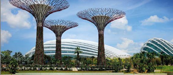 Ботанический сад в Сингапуре