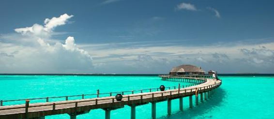 Райский отдых на Мальдивах!