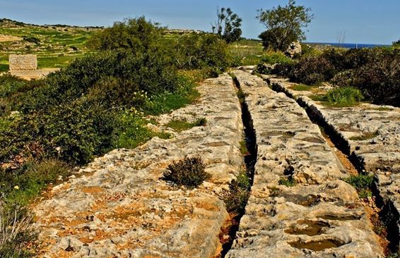 Загадки острова Мальта.  Колеи доисторических повозок