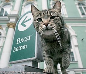 Музей кошек в Санкт-Петербурге
