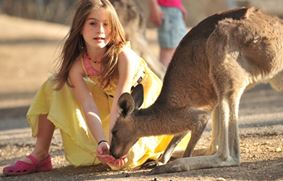 Парк животных Австралии в Израиле