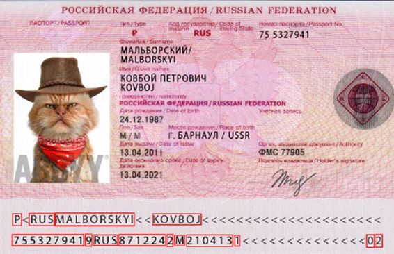Россиянам больше не нужен загранпаспорт?