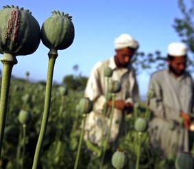 Наркобароны Таджикистана ударили по туротрасли страны