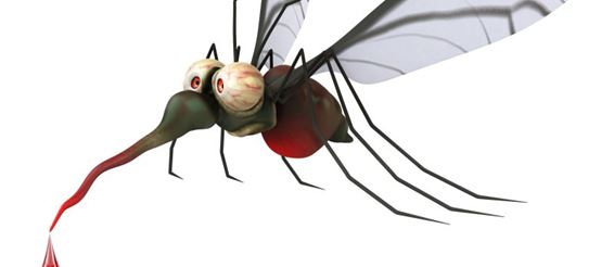 Фестиваль русского комара