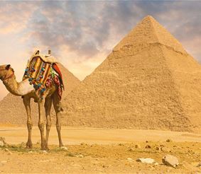 Египет навсегда