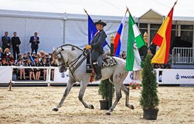 Андалузские лошади танцуют на Красной площади