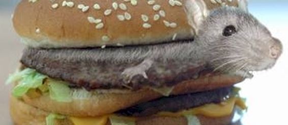 В мексиканском «Макдоналдсе» клиентку накормили крысятиной