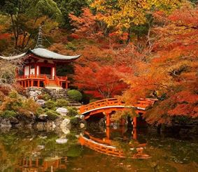Осенние маршруты. Япония. Киото. Видео
