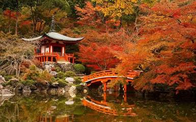 Осенние маршруты. Япония. Киото. Видео