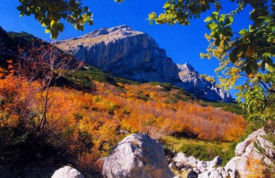 Осенние маршруты.  Черногория. Национальный парк Дурмитор. Видео