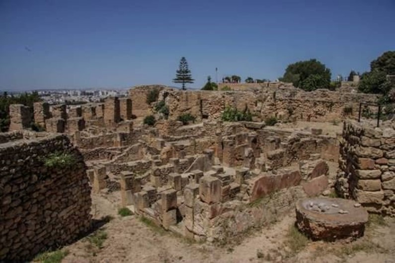 Почему карфаген был. Руины Карфагена Тунис. Развалины Карфагена в Тунисе. Карфаген Тунис реконструкция. Тунис достопримечательности Карфаген.