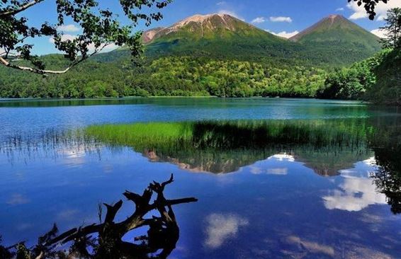Парк Акан Масю –доисторический лес вокруг трёх озер