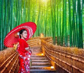 Нисикё-ку – по бамбуковым местам Киото