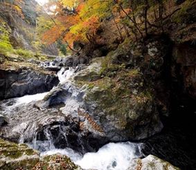 Осенний лес Кирю