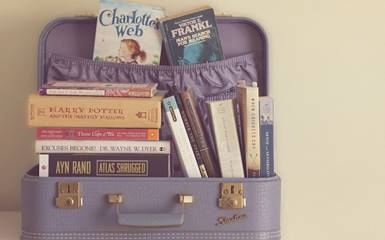 Книжный багаж МАГА и колдуна