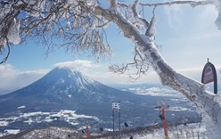 Горнолыжников в Японии привлекает особый, «пудровый» снег Хоккайдо