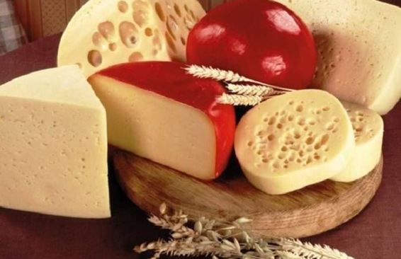 Москвичей накормят сыром в музее Москвы