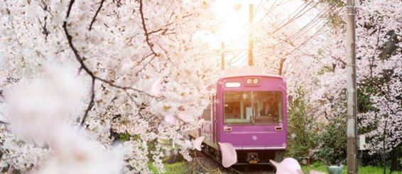По Киото на метро, автобусе и велосипеде