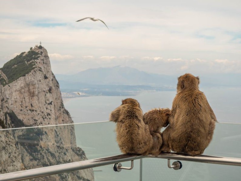 Гибралтар – идеальное место для путешествий в 2021-м году