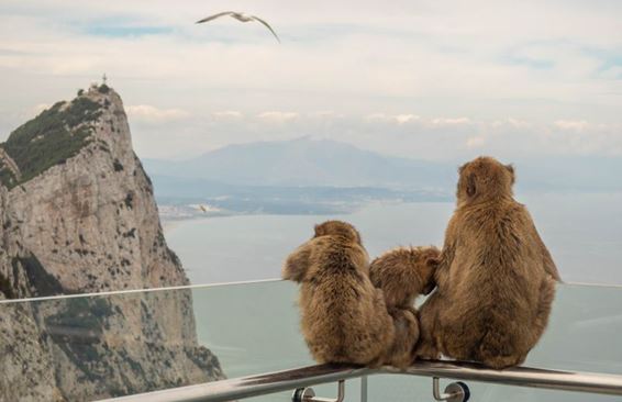 Гибралтар – идеальное место для путешествий в 2021-м году