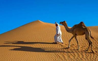 Саудовская Аравия -  больше, чем песчаные дюны и верблюды 