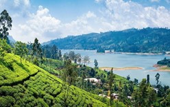 Шри-Ланка - идеальное место для встречи Нового года 2022
