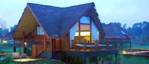 Этот отель-заповедник на Шри – Ланке  - рай для любителей дикой природы