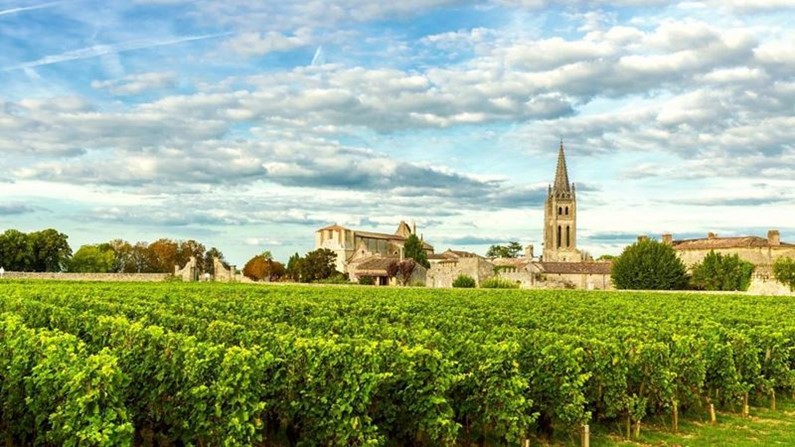 Лучшие гастрономические и винные фестивали Франции 2022