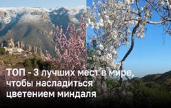 ТОП - 3 лучших мест в мире, чтобы насладиться цветением миндаля