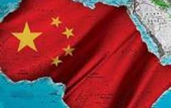 Китайцы устремились в Южную Африку