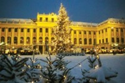 Главная рождественская елка Австрии установлена в Вене