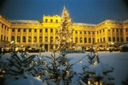 Рождественский базар открылся на ратушной площади Вены