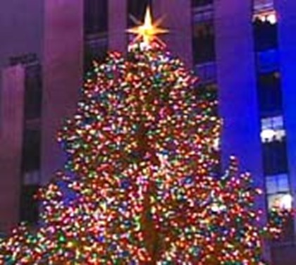 В Нью-Йорке засверкает огнями главная рождественская ель
