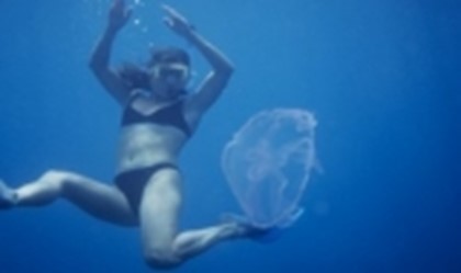 Медузы атакуют туристов по всему миру