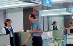 В московских аэропортах установят специальные терминалы для оплаты долговых обязательств