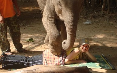 В Таиланде предлагают «массаж слоном»