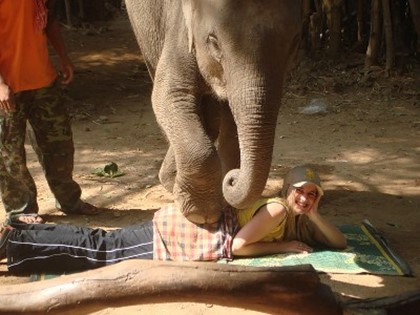 В Таиланде предлагают «массаж слоном»