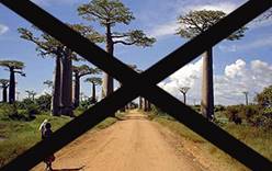 МИД просит туристов не ездить на Мадагаскар