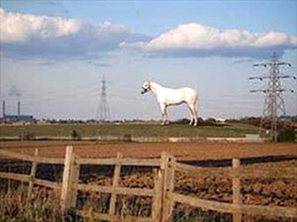 50 метровая белая лошадь украсит юг Англии