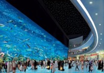 Дубай представлет удивительный мир морских животных