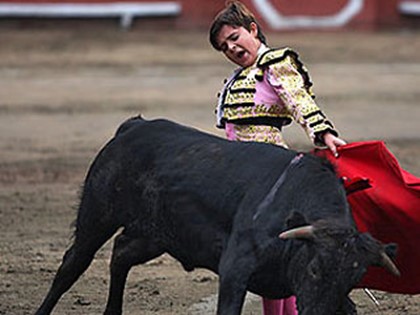В Колумбии бык поднял на рога двенадцатилетнего матадора